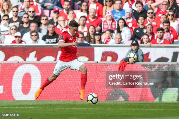 Benfica forward Franco Cervi from Argentina during the Primeira Liga match between SL Benfica and Moreirense FC at Estadio da Luz on May 13, 2018 in...