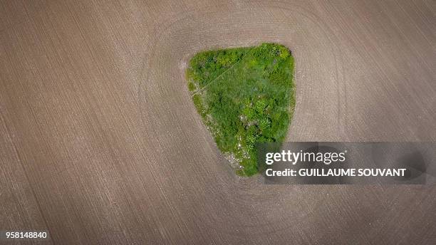 An aerial picture taken on May 13, 2018 shows an automatic watering system in a circular field near Sublaines.