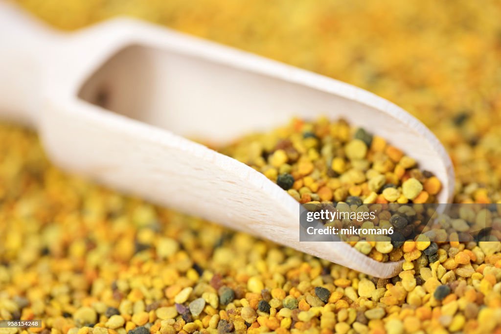 Raw organic bee pollen. Bee pollen granules. Apitherapy