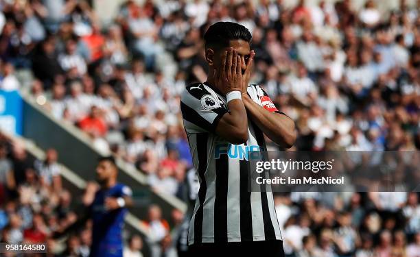 Ayoze Perez of Newcastle United reacts during the Premier League match between Newcastle United and Chelsea at St. James Park on May 13, 2018 in...