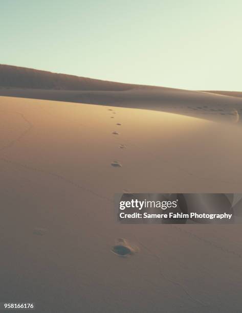 scenic view of sand dunes against clear sky - samere fahim fotografías e imágenes de stock