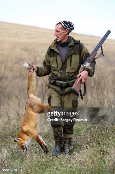 hunter with prey. - caça à raposa imagens e fotografias de stock