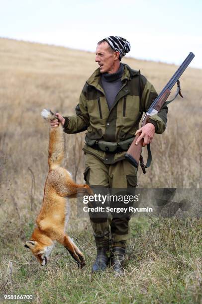 hunter with prey. - fox hunting 個照片及圖片檔