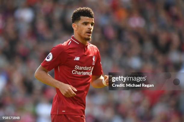 Dominic Solanke of Liverpool in action during the Premier League match between Liverpool and Brighton and Hove Albion at Anfield on May 13, 2018 in...