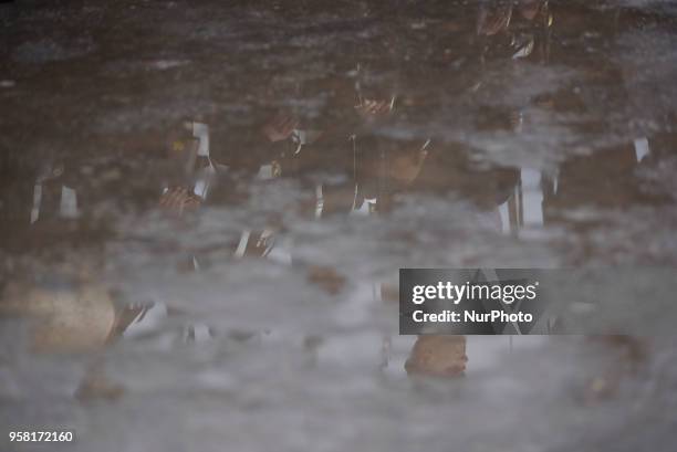 Refelction of Members of Gurju Paltan Army personnel seen on water as rotating Chariot by playing traditional musical instruments on celebration of...