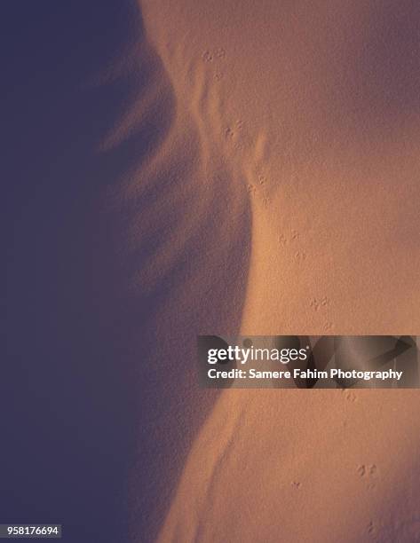 light and shadow on sand - samere fahim bildbanksfoton och bilder