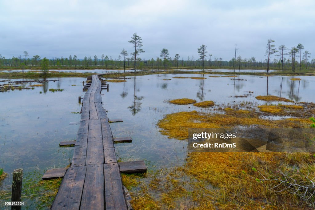 Tunturiaapa Trail, im Jugendpfleger-Luosto Nationalpark