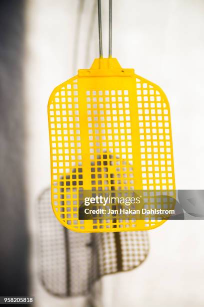 yellow fly swatter - killing insects stock pictures, royalty-free photos & images