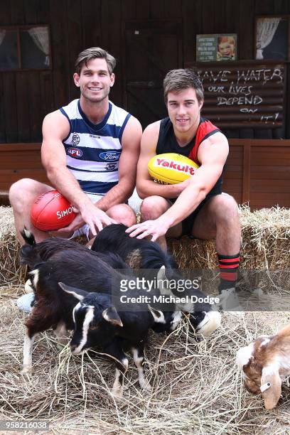 Tom Hawkins of the Cats and Zach Merrett of the Bombers pose during the Powercor Country Festival Launch at Melbourne Cricket Ground on May 14, 2018...