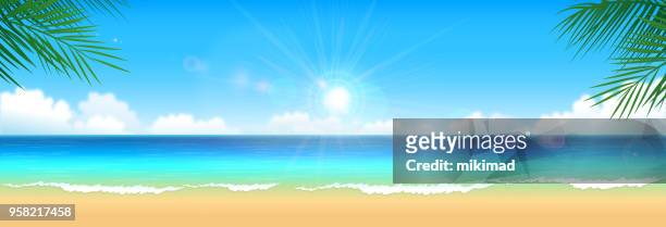 tropical beach background - panoramic stock illustrations