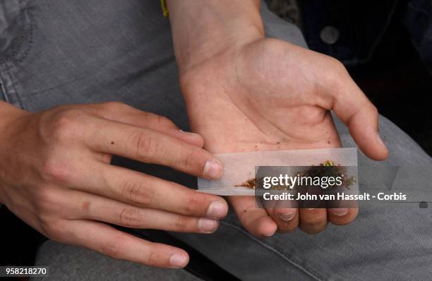 Parisians demonstrate to legalize soft drugs on May 12, 2018 in Paris, France. The Cannaparade is the main manifestation in France in favor of a...