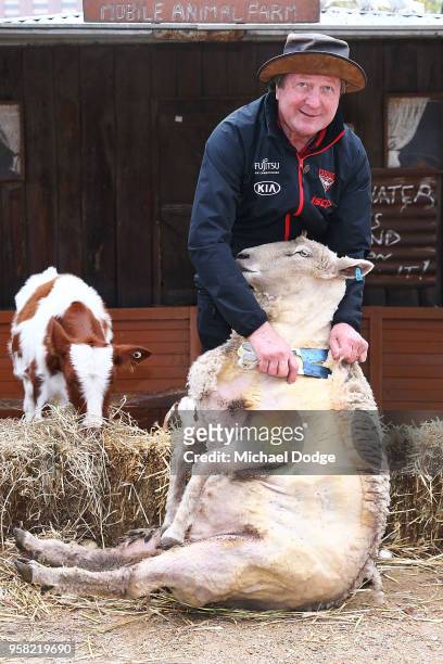 Legend Essendon Bombers former coach Kevin Sheedy shears a sheep during the Powercor Country Festival Launch at Melbourne Cricket Ground on May 14,...