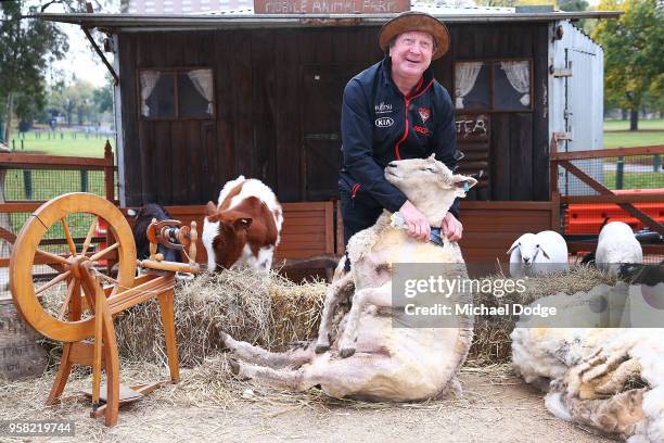 Legend Essendon Bombers former coach Kevin Sheedy shears a sheep during the Powercor Country Festival Launch at Melbourne Cricket Ground on May 14,...