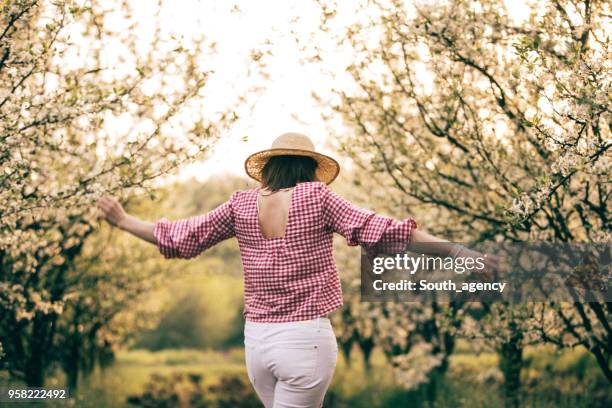 nemen van een wandeling in de boomgaard - bloesem stockfoto's en -beelden