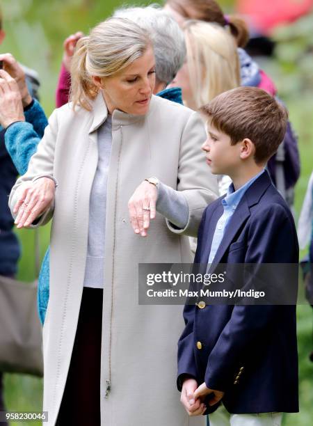 Sophie, Countess of Wessex and James, Viscount Severn attend day 4 of the Royal Windsor Horse Show in Home Park on May 12, 2018 in Windsor, England....