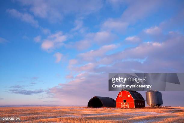 escena de invierno granero rojo de la pradera de saskatchewan canadá - edificio agrícola fotografías e imágenes de stock