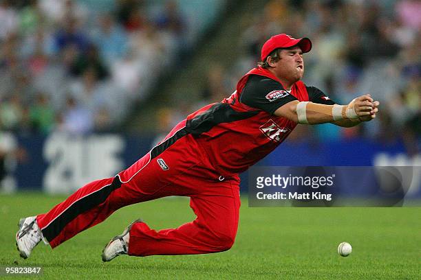 Mark Cosgrove of the Redbacks drops a chance to dismiss David Warner of the Blues during the Twenty20 Big Bash match between the New South Wales...