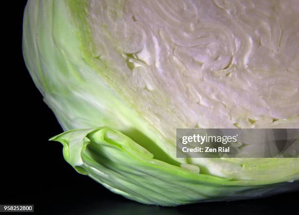 cross section of a head of green cabbage (brassica oleracea var. capitata) on black background - cross section of a dicot leaf stock pictures, royalty-free photos & images