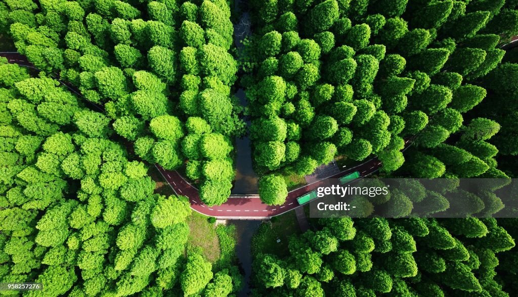 TOPSHOT-CHINA-TOURISM