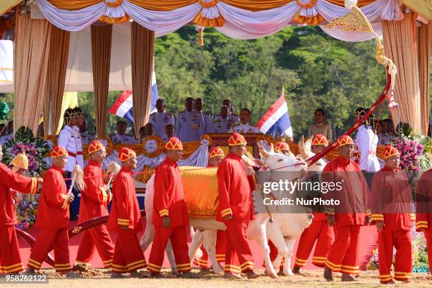 Thai King Maha Vajiralongkorn presides over the annual royal ploughing ceremony at the Sanam Luang park in Bangkok, Thailand on May 14, 2018.