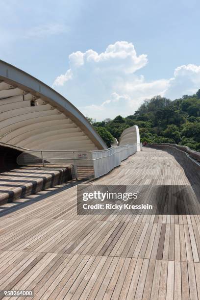 henderson waves bridge - henderson waves bridge stock pictures, royalty-free photos & images