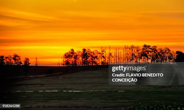 agricultural and pasture farms where soy, corn and wheat are planted in the northern region of the state of paraná - parana state stock-fotos und bilder