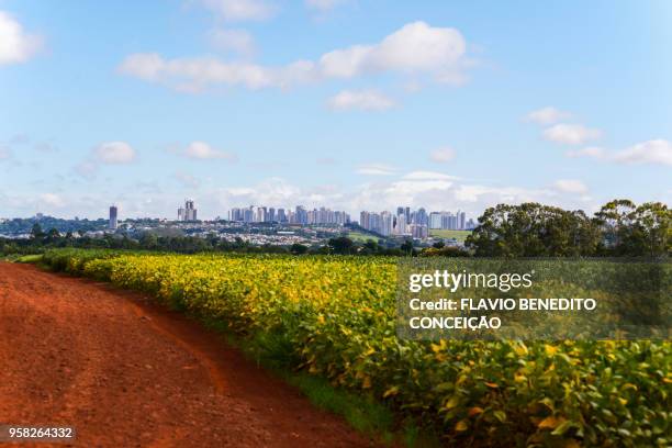 agricultural and pasture farms where soy, corn and wheat are planted in the northern region of the state of paraná - parana state stock-fotos und bilder