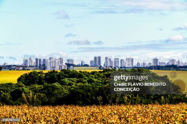 agricultural and pasture farms where soy, corn and wheat are planted in the northern region of the state of paraná - parana state stock-fotos und bilder