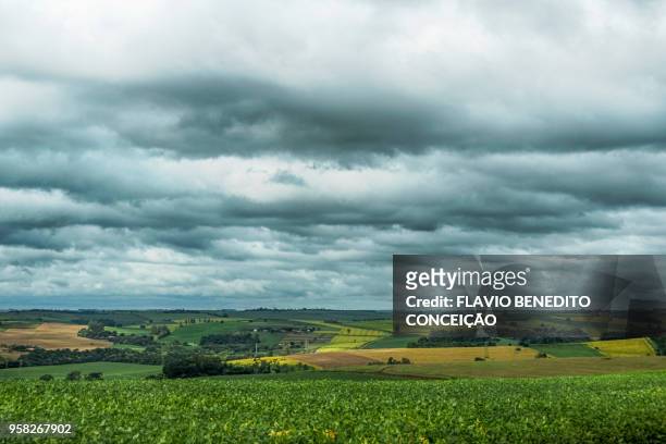 agricultural and pasture farms where soy, corn and wheat are planted in the northern region of the state of paraná - parana state stock-fotos und bilder