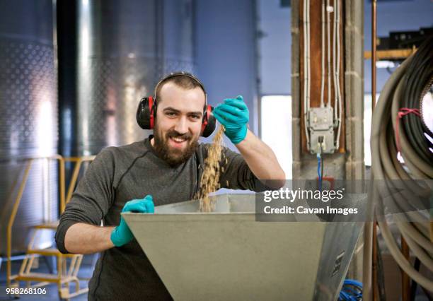 portrait of man dropping barley in machinery at distillery - barley plant stock pictures, royalty-free photos & images