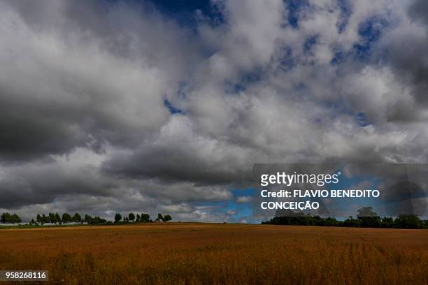 agricultural and pasture farms where soy, corn and wheat are planted in the northern region of the state of paraná - parana state bildbanksfoton och bilder