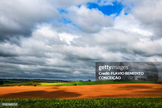 agricultural and pasture farms where soy, corn and wheat are planted in the northern region of the state of paraná - parana state stock-fotos und bilder