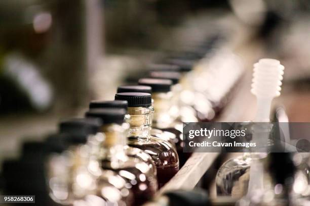 close-up whiskey bottles in cider at distillery - cider stock pictures, royalty-free photos & images
