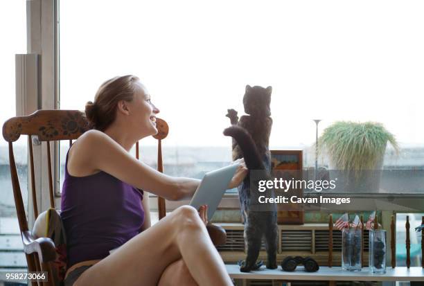 happy woman playing with cat at window - rearing up stock pictures, royalty-free photos & images