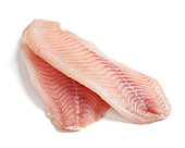 Raw pink filleted tilapia fish