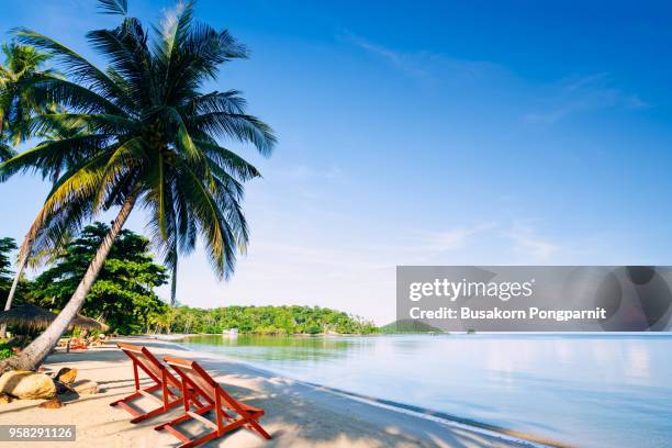 deck chair on the tropical beach with coconut palm trees - samoa stock pictures, royalty-free photos & images