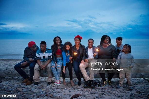 family and friends sitting on log at beach against sky - familientreffen stock-fotos und bilder