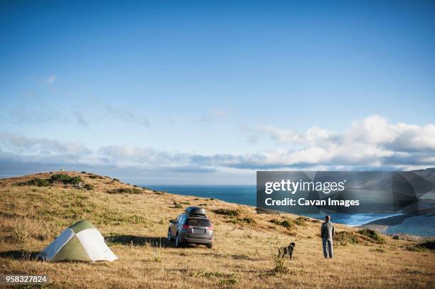 man and dog standing on field against sky - majestic dog stock pictures, royalty-free photos & images