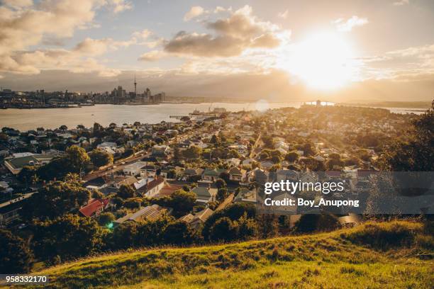 auckland cityscape view from devonport a harbourside suburb of auckland, new zealand at sunset. - new zealand houses imagens e fotografias de stock