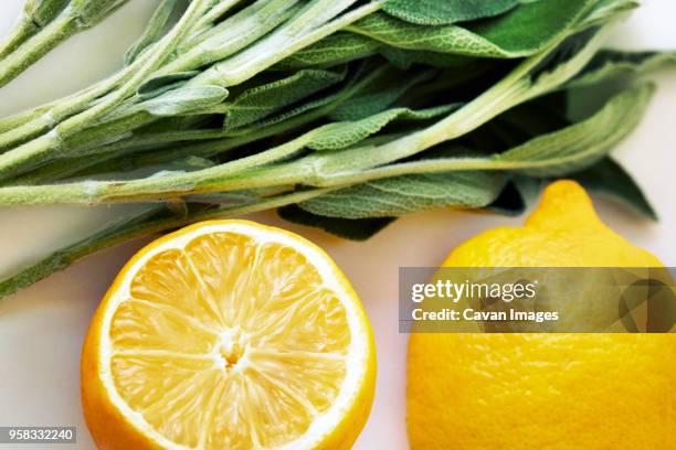 close-up of lemon and leaf vegetables - lemon leaf stock pictures, royalty-free photos & images