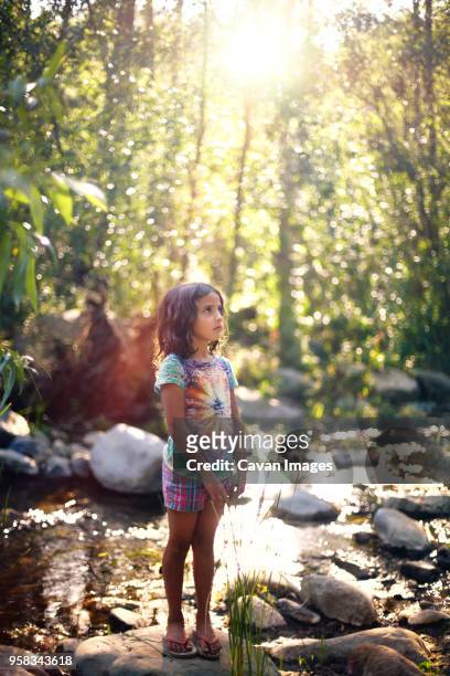 girl looking up while standing by river at forest - kids at river stock-fotos und bilder