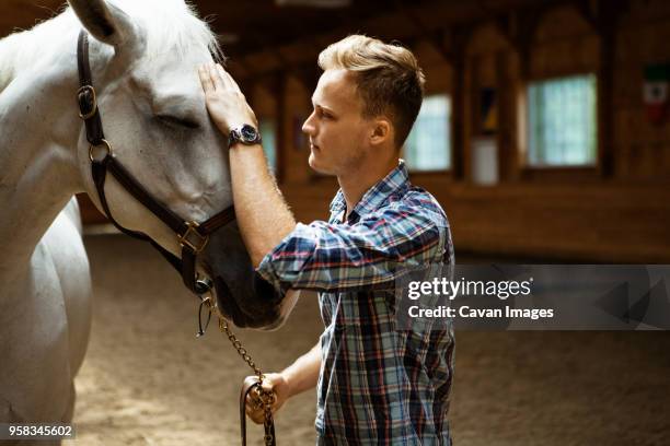 Man Stable Man Stables Photos and Premium High Res Pictures - Getty Images