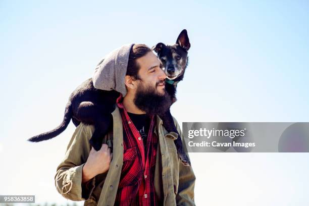 thoughtful man carrying dog on shoulders while standing against clear sky - auf den schultern stock-fotos und bilder