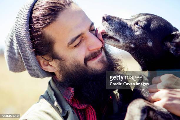 close-up of dog licking mans face during sunny day - dog licking face stock-fotos und bilder