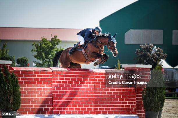 man riding horse over wall at show - jockey uniform stock pictures, royalty-free photos & images