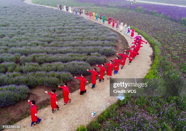 Women dressed in cheongsams perform at a lavender manor to celebrate the Mother's Day on May 13, 2018 in Taizhou, Jiangsu Province of China.