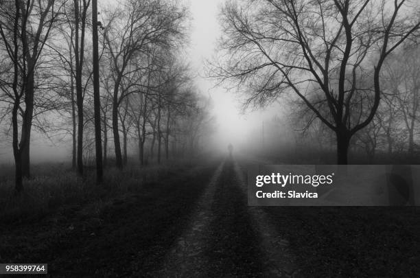 road through alley on a misty winter day - black and white landscape stock pictures, royalty-free photos & images