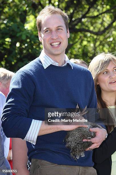 Prince William holds a Kiwi on Kapiti Island during the second day of his visit to New Zealand on January 18, 2010 in Wellington, New Zealand. HRH...