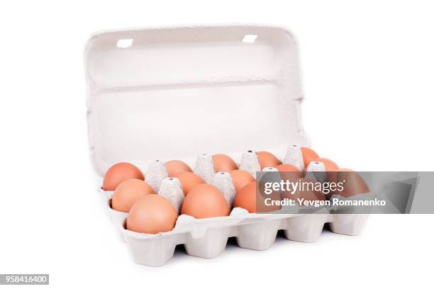 eggs in cardboard packaging isolated on white background - carton of eggs stockfoto's en -beelden