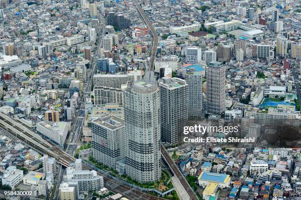 tokyo city - elisete shiraishi stock pictures, royalty-free photos & images